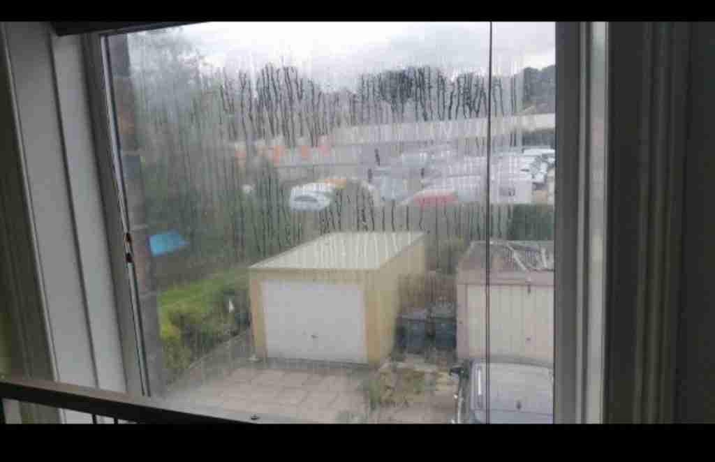 Misted Window